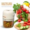 k56-22 Chic Now Mini Food Chopper Electric Food Processor Cordless Onion Garlic Chopper Portable Vegetable Mincer Meat Blender with 250ml Capacity